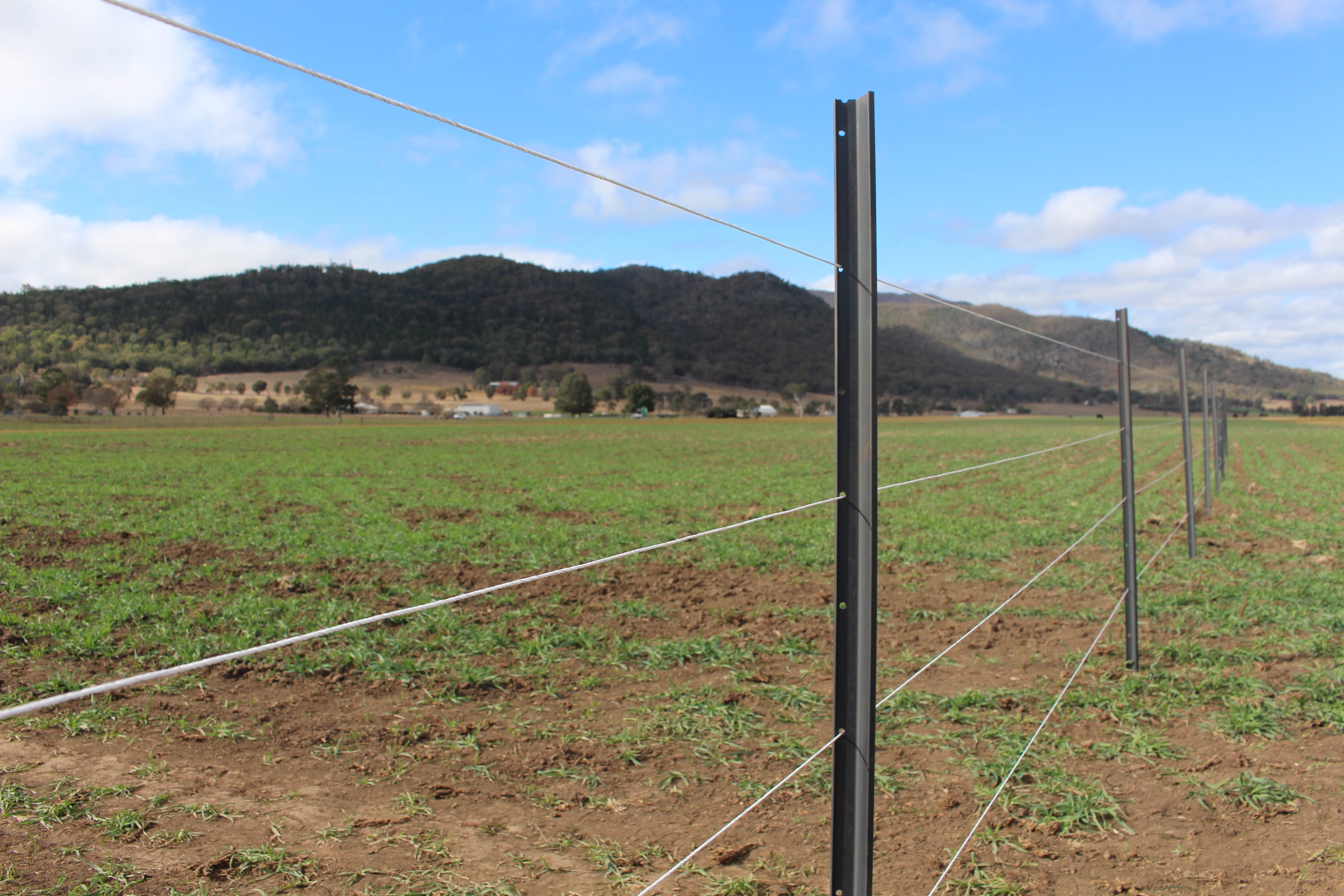 PolyPost Star Picket